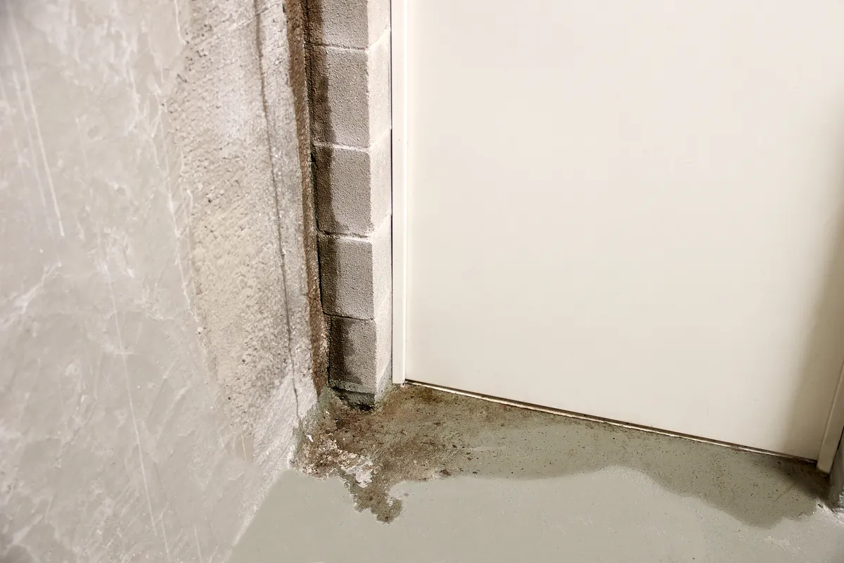 Damp and mould at the base of an internal corner