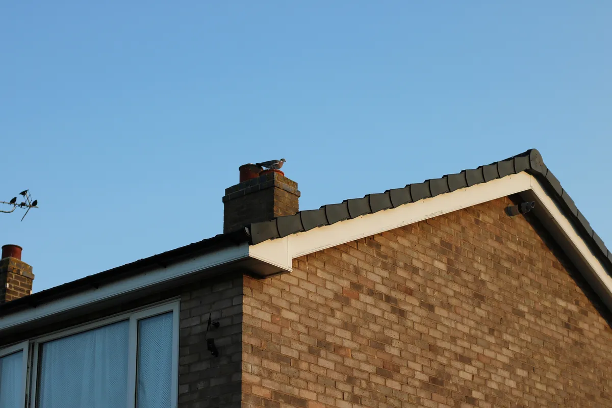 A white fascia and soffit finished along a buff brick gable