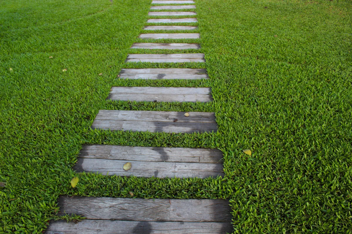 Stone stepping stones set into a lawn