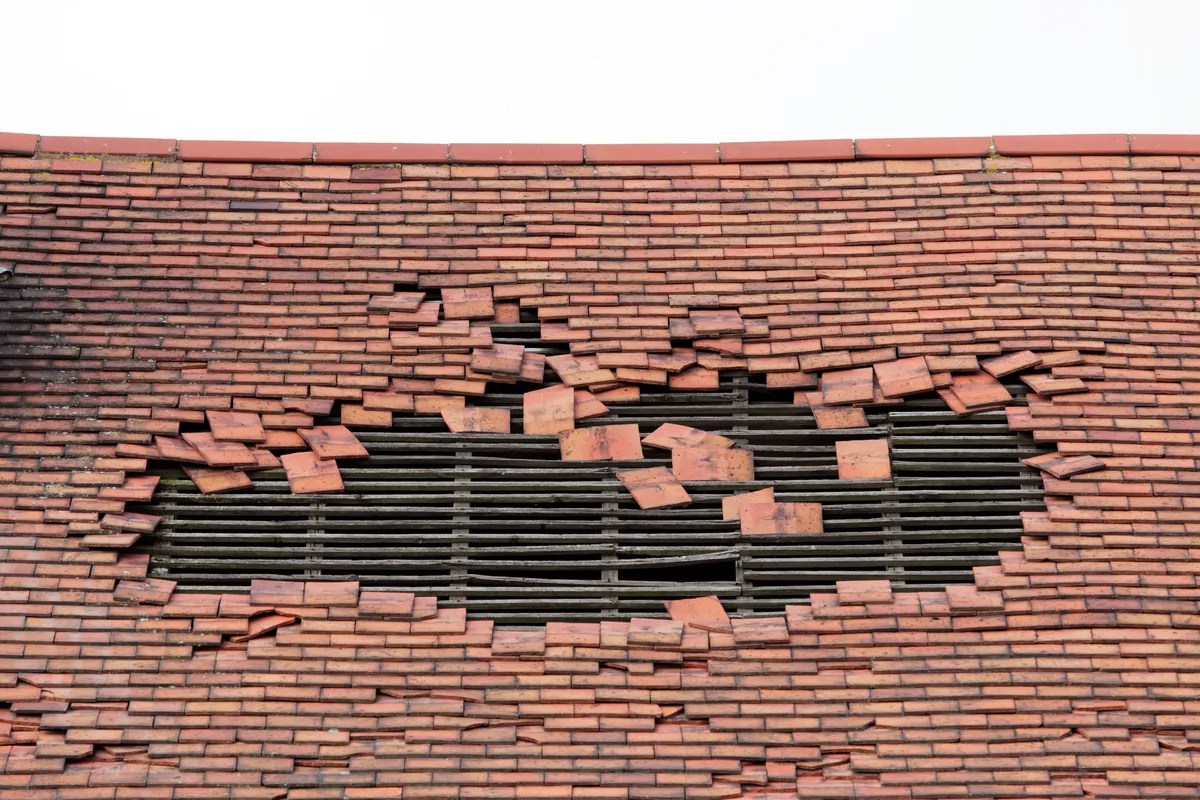 A patch of missing tiles showing the battens behind