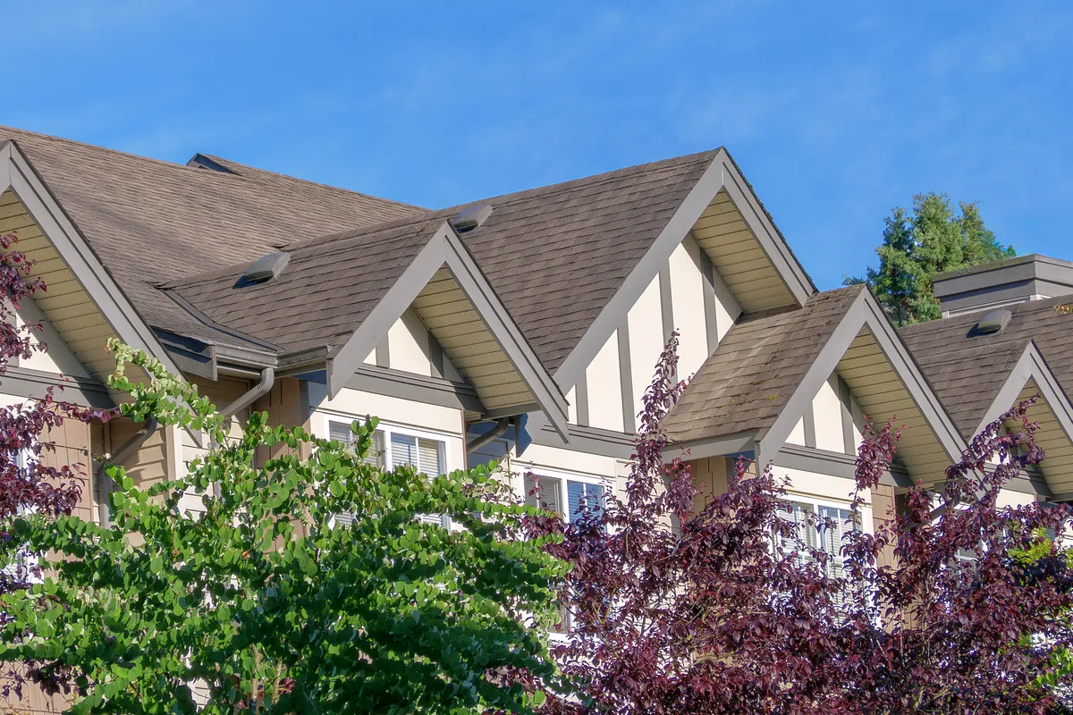 A run of new roofline across a row of houses